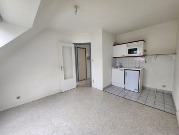 Appartement 1 pièce – 24 m² environ
